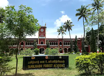 Gass Forest Museum