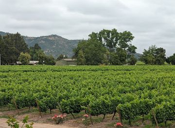 chile/colchagua-valley/landmark/vina-montgras