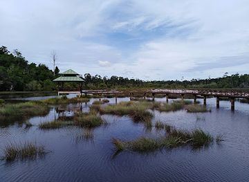 brunei/jerudong/landmark/labi-forest-reserve