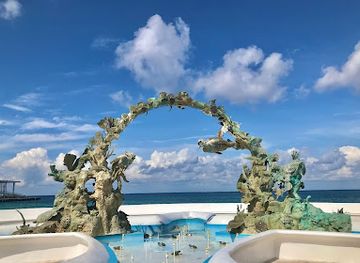 mexico/cozumel/playa-del-carmen/landmark/coral-reefs-monument