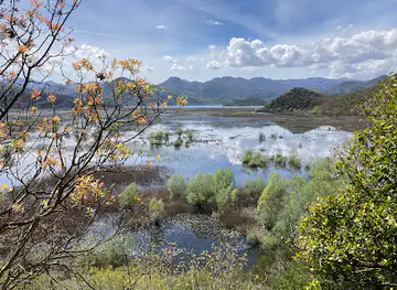 Noah's Ark Skadar Lake Cruise