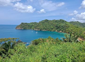 trinidad-and-tobago/buccoo-reef/landmark/fish-tobago-tours