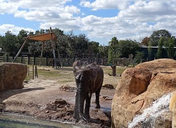 florida/tampa/seminole-heights/landmark/zootampa-at-lowry-park