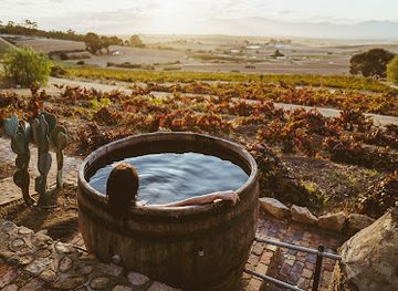 south-africa/cape-winelands/landmark/visit-sa-winelands