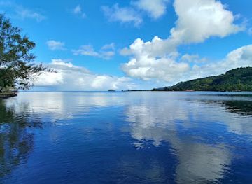 french-polynesia/tahiti-iti/landmark/harrison-smith-botanical-garden
