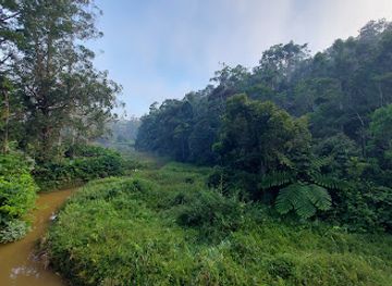 madagascar/sava/landmark/reserve-speciale-d-analamazoatra