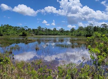 florida/nature-coast/landmark/spruce-bluff-preserve