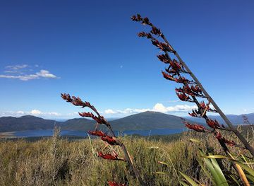 new-zealand/tongariro-national-park/landmark/ketetahi-falls