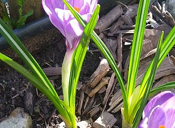 new-york/syracuse/landmark/upstatenycanals-com