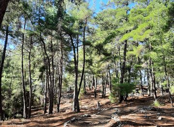 turkiye/fethiye/landmark/kadyanda-cadianda