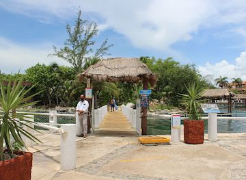 mexico/cozumel/puerto-aventuras/landmark/dolphin-discovery-riviera-maya