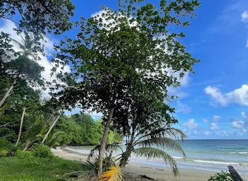 trinidad-and-tobago/tobago/landmark/bacolet-beach
