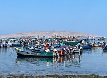 peru/paracas-national-reserve/landmark/bruces-restobar-paracas