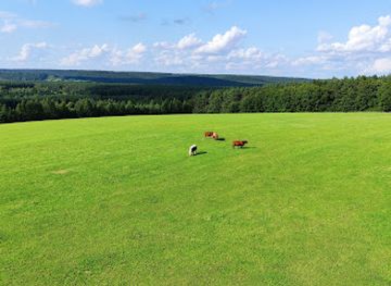 poland/roztocze/landmark/white-hill-lookout-tower