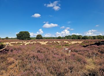 netherlands/gooi/landmark/goois-natuurreservaat-bussumerheide