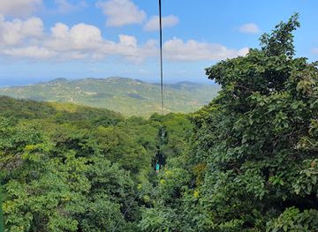 saint-lucia/dauphin/landmark/rainforest-adventures-st-lucia