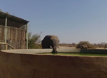 botswana/selebi-phikwe/landmark/limpopo-lipadi-wildlife-and-wilderness-reserve