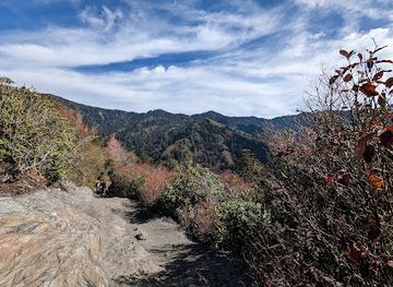 north-carolina/great-smoky-mountains/landmark/arch-rock