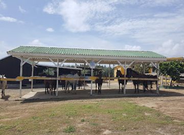 aruba/pos-chiquito/landmark/the-gold-mine-ranch-aruba