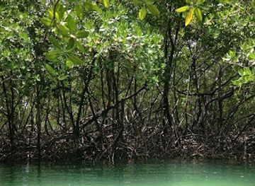 niger/w-national-park/landmark/heiskanen-national-park