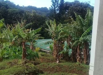 grenada/annandale-falls/landmark/annandale-st-george-s