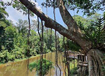 thailand/khao-yai-national-park/landmark/khao-yai-national-park-visitor-center