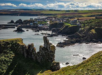 united-kingdom/berwickshire/attraction/the-st-abbs-visitor-centre-2