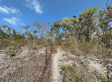 florida/nature-coast/landmark/mound-key-archaeological-state-park