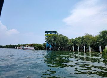 bangladesh/tanguar-haor/landmark/haor-view-point