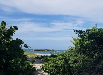 puerto-rico/caribbean-national-forest/landmark/bosque-estatal-de-pinones