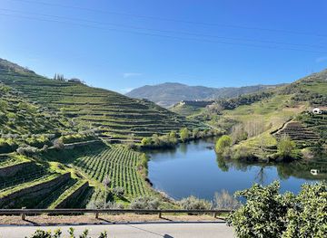 portugal/douro-valley/landmark/quinta-do-tedo