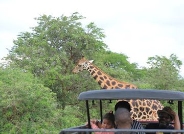 uganda/western-region/landmark/isra-safaris