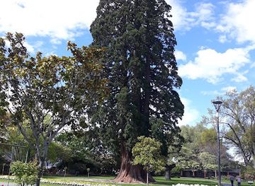 new-zealand/southland/landmark/gore-public-gardens