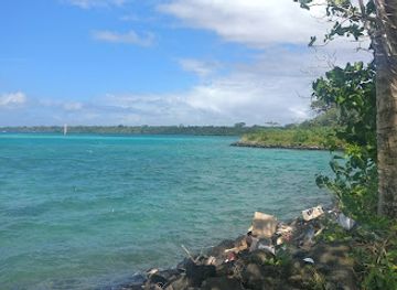 samoa/savai-i/landmark/alofaaga-blowholes