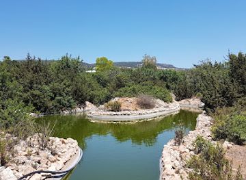 cyprus/adonis-baths-waterfalls/landmark/pafos-zoo
