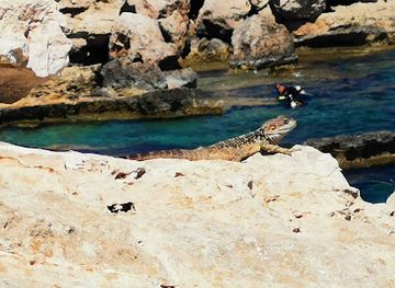 cyprus/adonis-baths-waterfalls/landmark/cyclops-cave