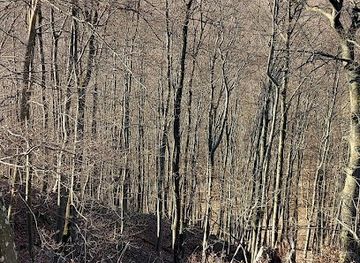 hungary/bakony/landmark/tevelvar