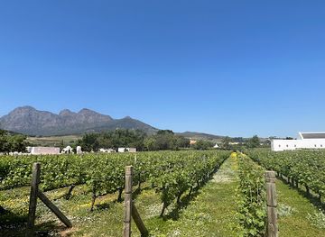 south-africa/cape-winelands/landmark/babylonstoren-wine-estate