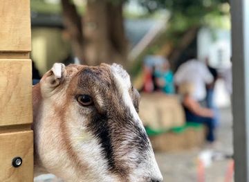 puerto-rico/manati/landmark/finca-guacabo