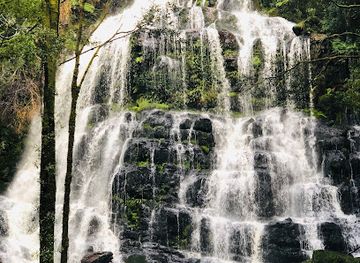 australia/tasmanian-wilderness/landmark/nelson-falls