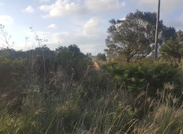 south-africa/east-london/landmark/amalinda-nature-reserve