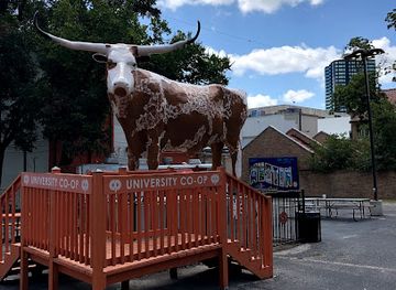 texas/austin/landmark/world-s-largest-longhorn
