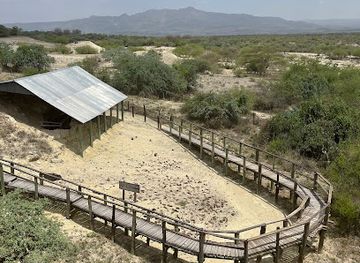 kenya/north-eastern-province/landmark/olorgesailie-prehistoric-site