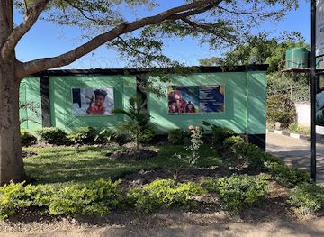 zambia/lusaka/olympia-park/landmark/natural-kurls-olympia