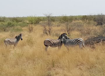 botswana/kgalagadi-transfrontier-park/landmark/makgadikgadi-pans-national-park