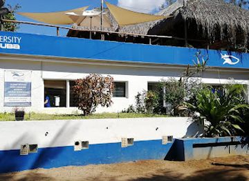 mozambique/inhambane/landmark/diversityscuba