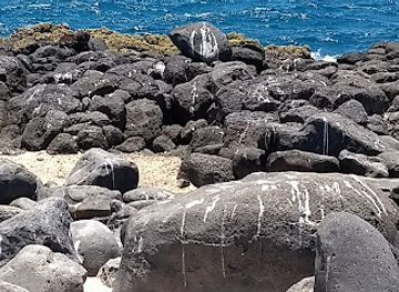 ecuador/galapagos-islands/landmark/north-seymour-island