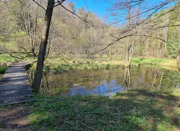 Uroczysko Belfont