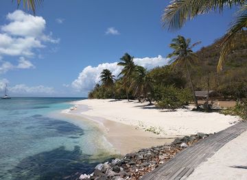 saint-vincent-and-the-grenadines/palm-island/landmark/petit-saint-vincent