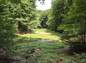 netherlands/veluwe-national-park/landmark/solsche-gat